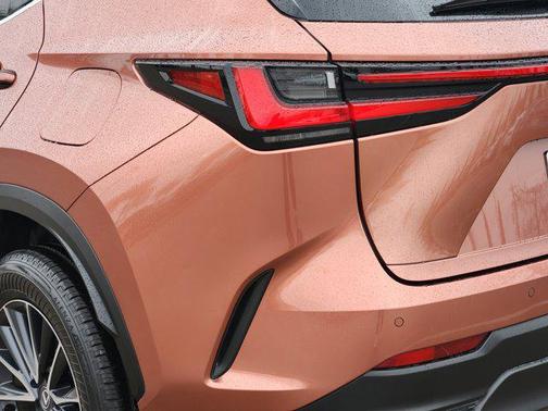 2025 Lexus NX 250 Premium