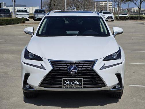2019 Lexus NX 300h 300h Luxury