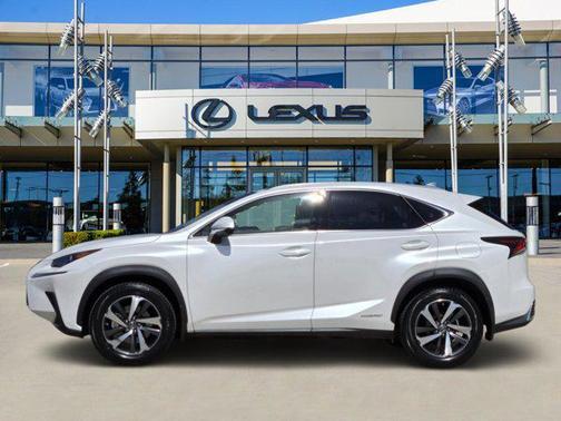 2019 Lexus NX 300h 300h Luxury