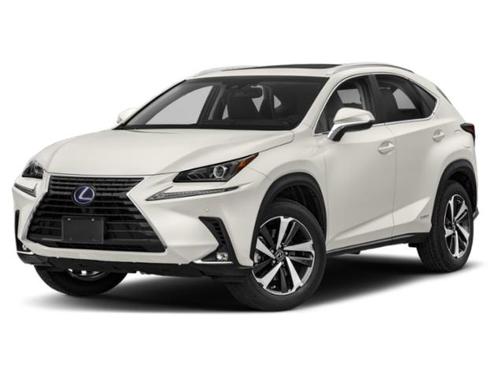 2019 Lexus NX 300h 300h Luxury