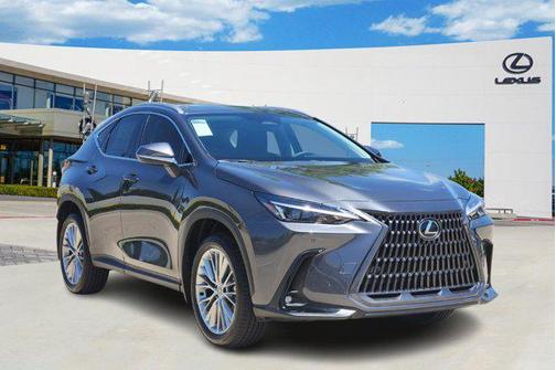 2025 Lexus NX 350h Premium