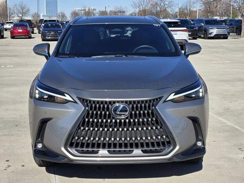 2025 Lexus NX 250 Base