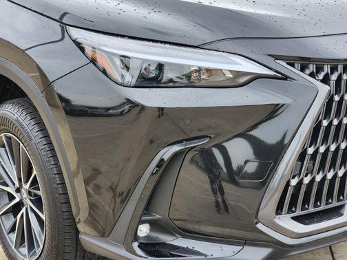 2025 Lexus NX 250 Premium