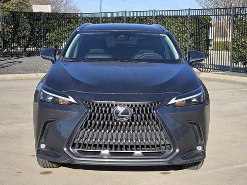 2024 Lexus NX 250 Base
