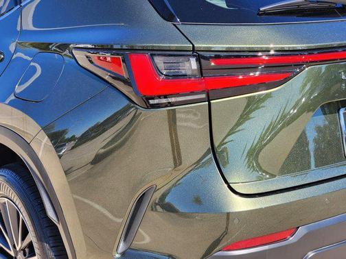 2025 Lexus NX 250 Base