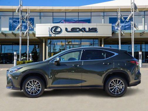 2025 Lexus NX 250 Base