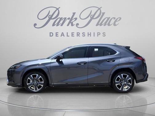 Cloudburst Gray 2026 Lexus UX 300h Premium