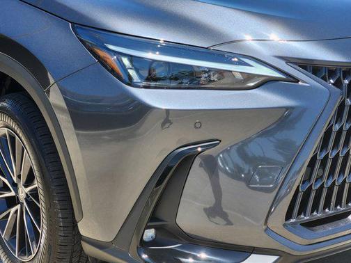 2025 Lexus NX 250 Base
