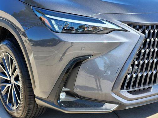 2024 Lexus NX 250 Premium