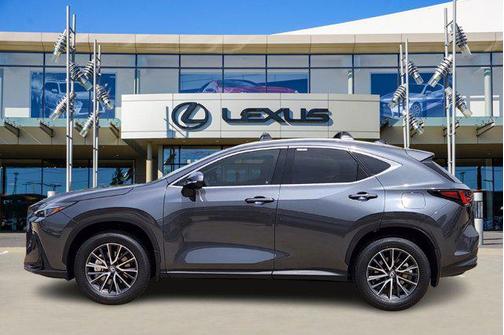 2025 Lexus NX 250 Premium