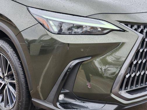 2025 Lexus NX 250 Premium