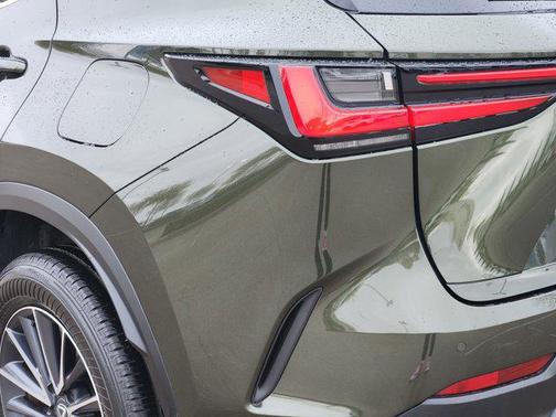 2025 Lexus NX 250 Premium