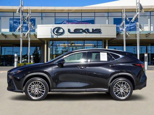 2022 Lexus NX 350h Luxury