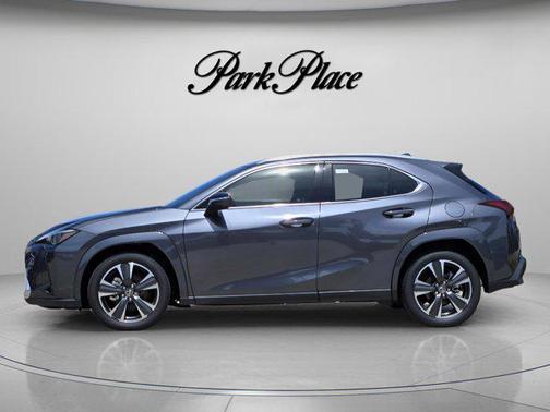 Cloudburst Gray 2026 Lexus UX 300h Premium