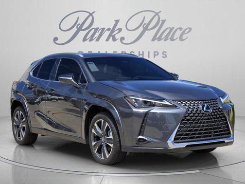 Cloudburst Gray 2026 Lexus UX 300h Premium