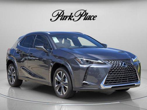 Cloudburst Gray 2026 Lexus UX 300h Premium