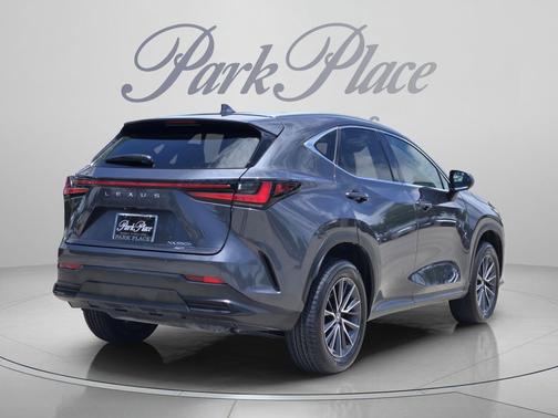 Cloudburst Gray 2025 Lexus NX 350h Premium