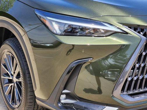 2025 Lexus NX 250 Base