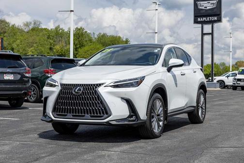 2022 Lexus NX 350h Luxury