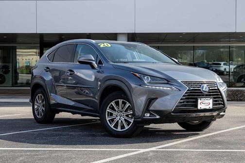 Nebula Gray Pearl 2020 Lexus NX 300h Base