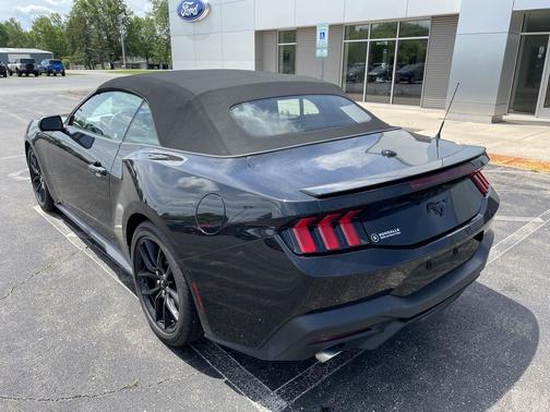 Shadow Black 2025 Ford Mustang EcoBoost Premium