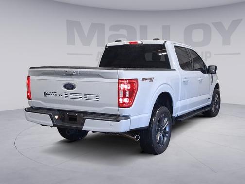 AVALANCHE 2023 Ford F-150 XLT