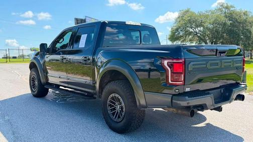 Agate Black Metallic 2019 Ford F-150 Raptor