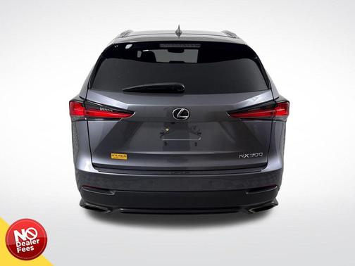 Gray Pearl 2019 Lexus NX 300 Base