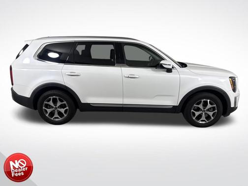 Snow White Pearl 2020 Kia Telluride EX