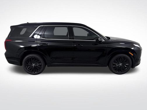 Abyss Black Pearl 2024 Hyundai PALISADE Calligraphy Night Edition