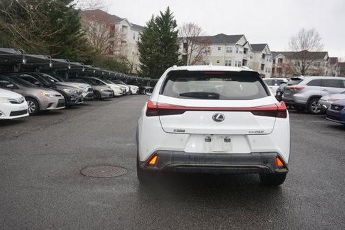 2019 Lexus UX 250h F Sport