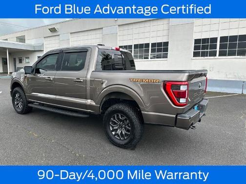 STONE GRAY METALLIC 2022 Ford F-150