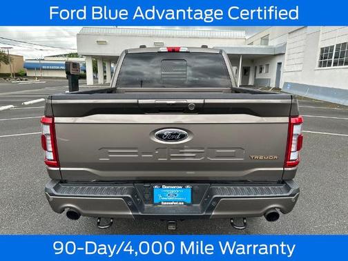 STONE GRAY METALLIC 2022 Ford F-150