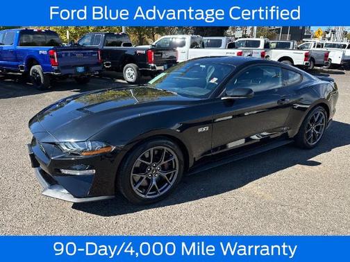 SHADOW BLACK 2021 Ford Mustang BASE