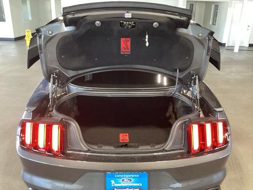 2017 Ford Mustang SHELBY GT350