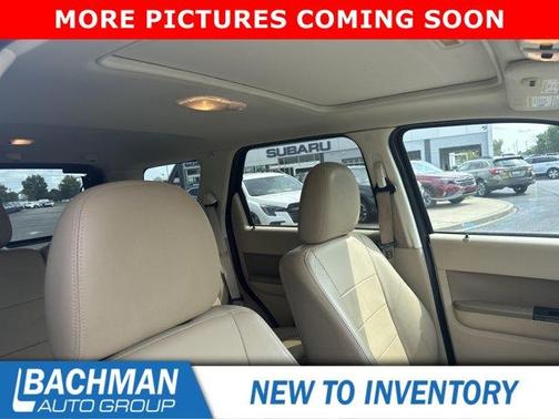 Gold Leaf Metallic 2011 Ford Escape Limited