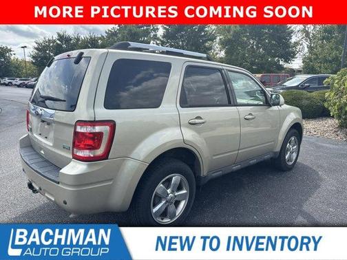 Gold Leaf Metallic 2011 Ford Escape Limited