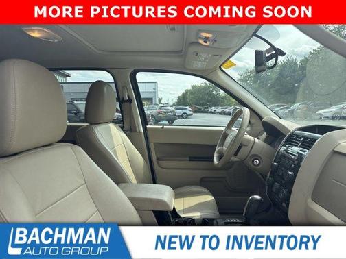 Gold Leaf Metallic 2011 Ford Escape Limited