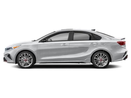 Steel Gray 2023 Kia Forte GT