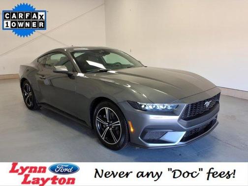 Gray Metallic 2025 Ford Mustang EcoBoost