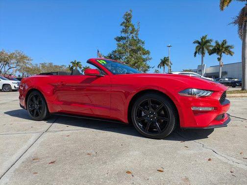 2019 Ford Mustang EcoBoost