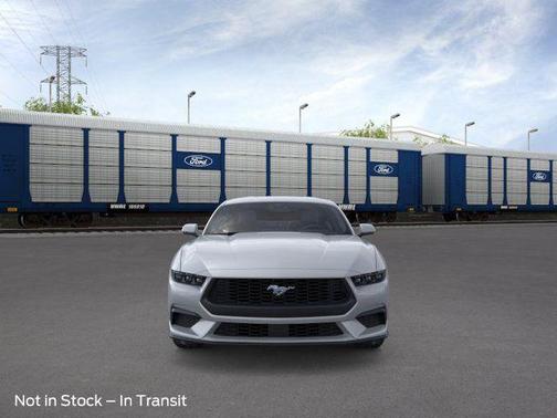 Avalanche Gray 2026 Ford Mustang EcoBoost