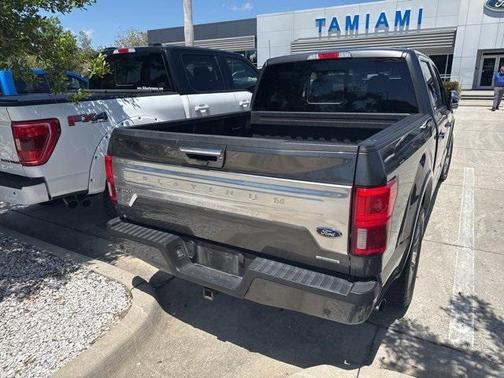 2019 Ford F-150 Platinum