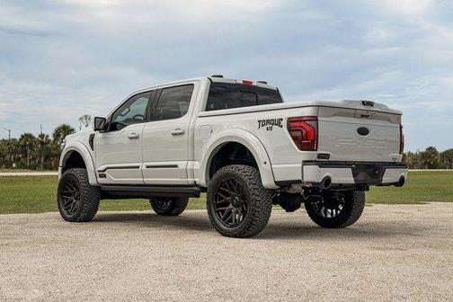 AVALANCHE 2026 Ford F-150 Lariat