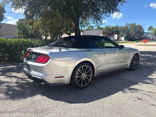 Ingot Silver Metallic 2019 Ford Mustang EcoBoost Premium