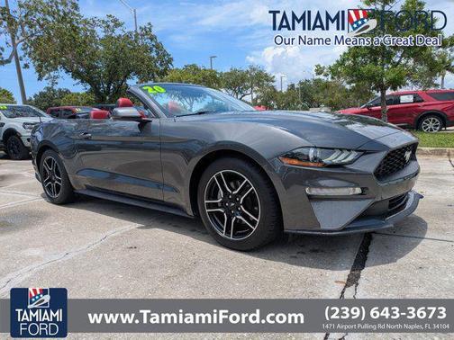 Magnetic Metallic 2020 Ford Mustang EcoBoost Premium