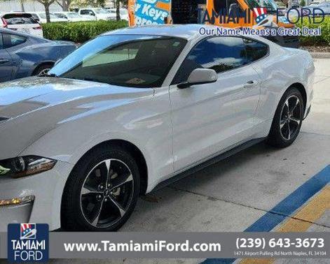 2019 Ford Mustang EcoBoost