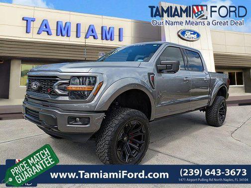 ICONIC SILVER METALLIC 2025 Ford F-150 XLT