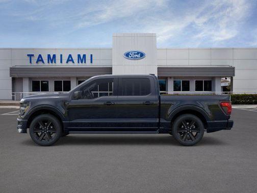 Black Metallic 2026 Ford F-150 STX