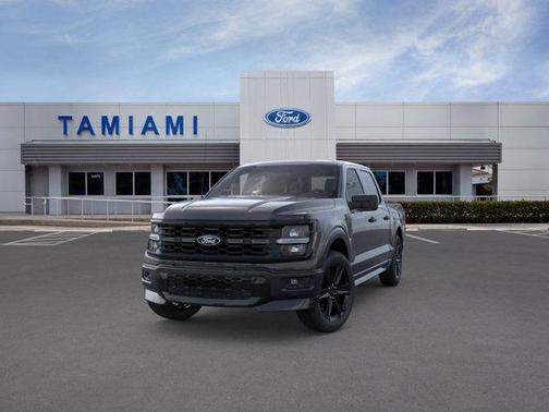 Black Metallic 2026 Ford F-150 STX